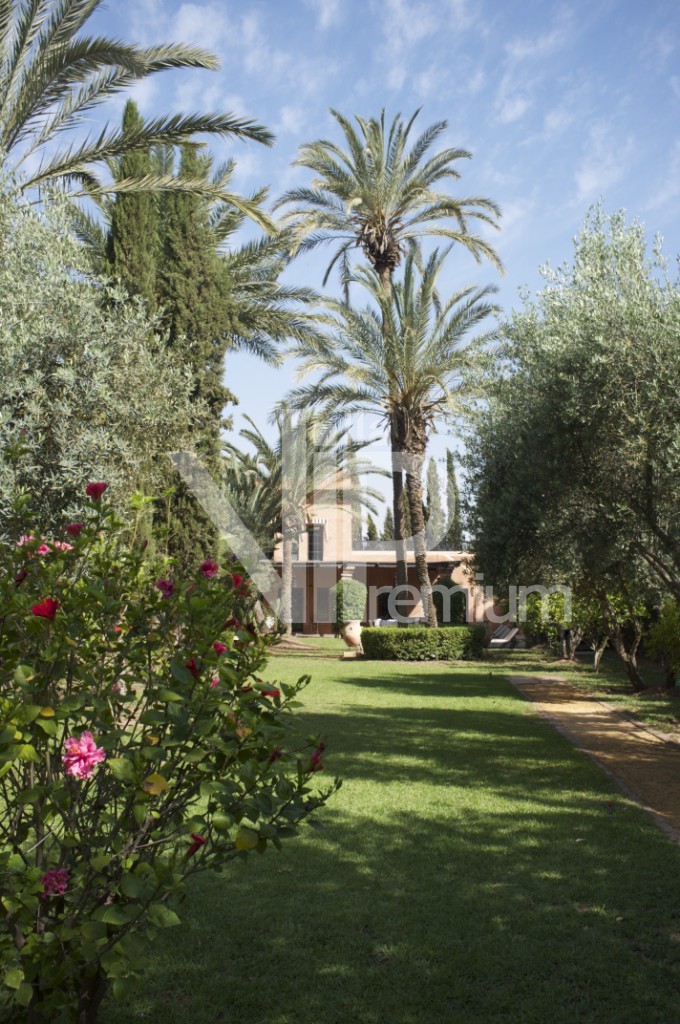 Villa d'exception, Palmeraie